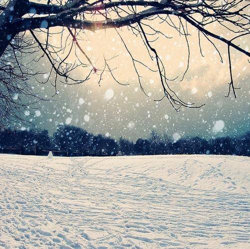 travaux avant l'arrivée de l'hiver